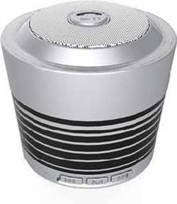 Bluetooth Stereo Speaker with FM Radio _ Silver