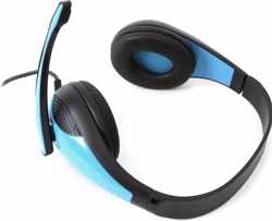 Platinet FH4008BL hoofdtelefoon/headset Hoofdtelefoons