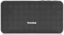 TechniSat BLUSPEAKER FL 200 10 W Bluetooth Zwart, Zilver