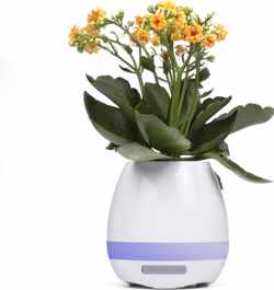 Plant Pot Speaker