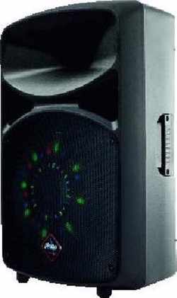 Alecto PAS-215P LED - 15" Passieve speaker voor PAS-215A LED 500W / 250W RMS